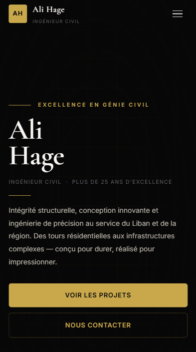 Ali Hage CV screenshot 3